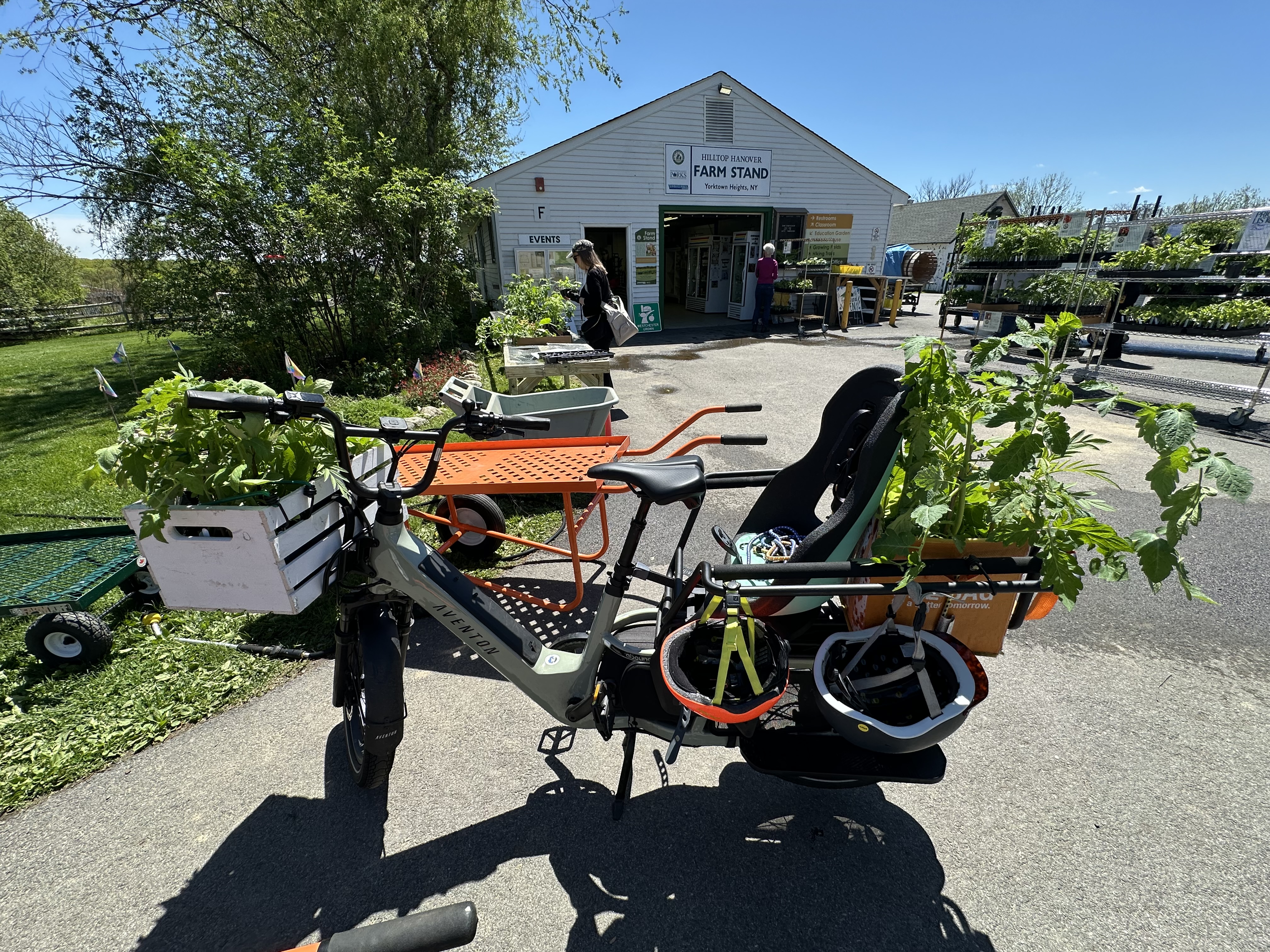 Planting season has begun! All starters (and seeds!) courtesy of https://hilltophanoverfarm.org